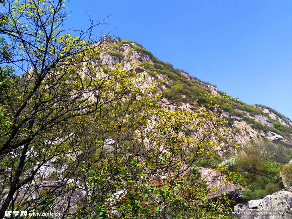 壮丽的高山风景