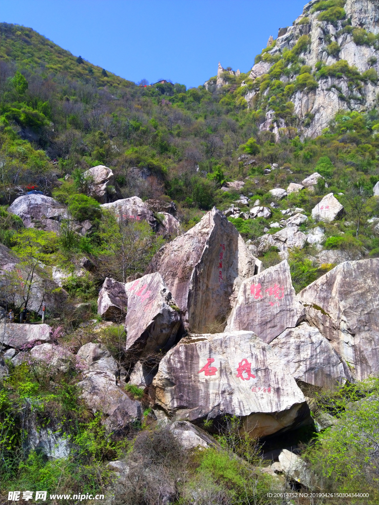 壮丽的高山风景