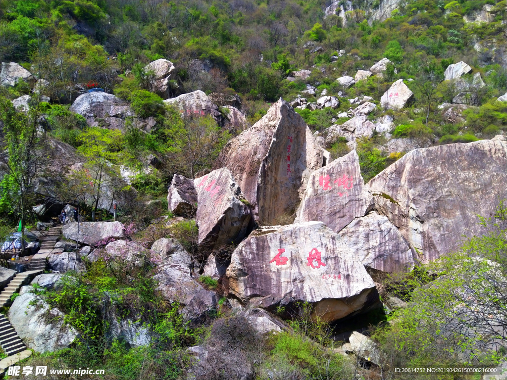 壮丽的高山风景