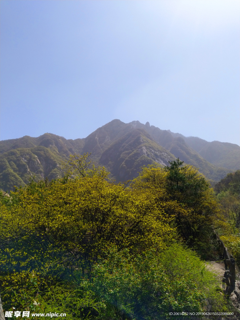 壮丽的高山风景