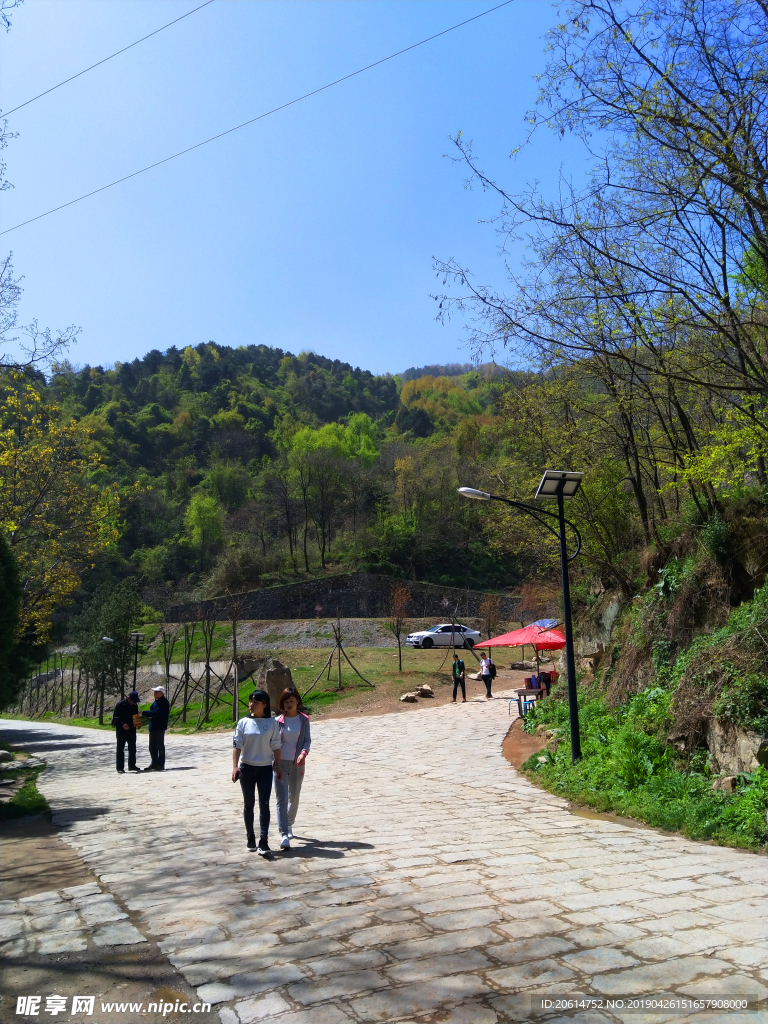 美丽的公园风景