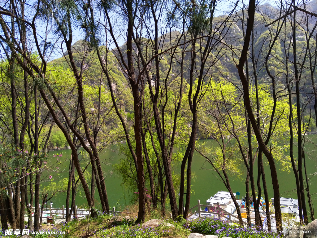 美丽的湖泊风景