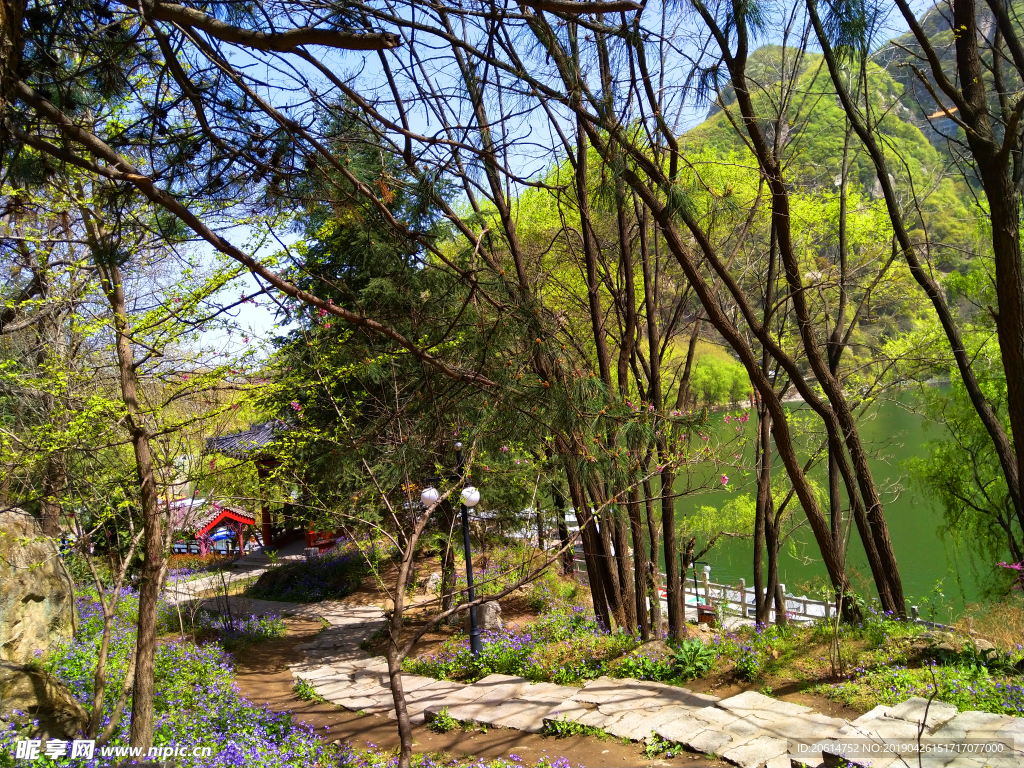 美丽的湖泊风景