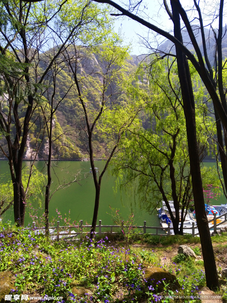 美丽的湖泊风景