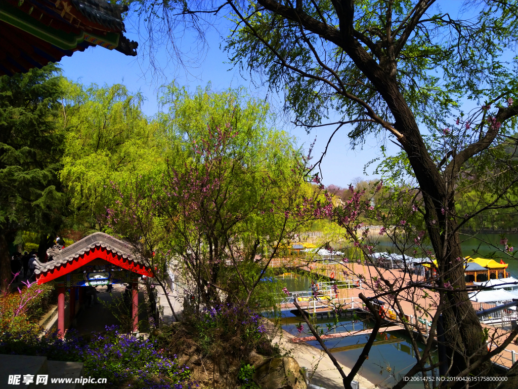 美丽的公园风景