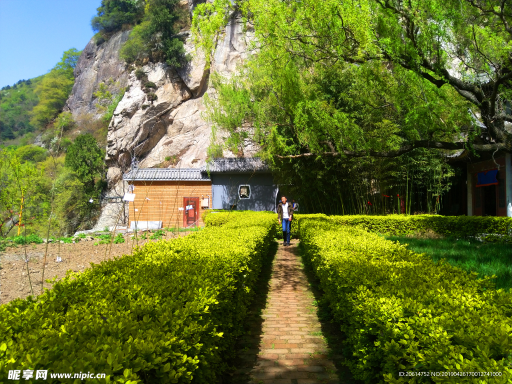 美丽的公园风景