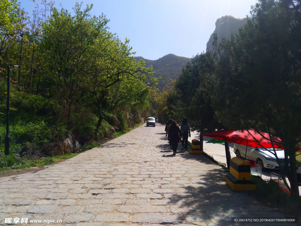 美丽的公园风景