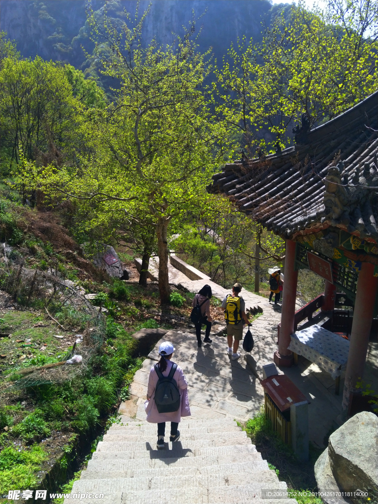 高山美景