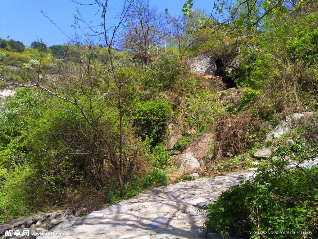 美丽的高山风光