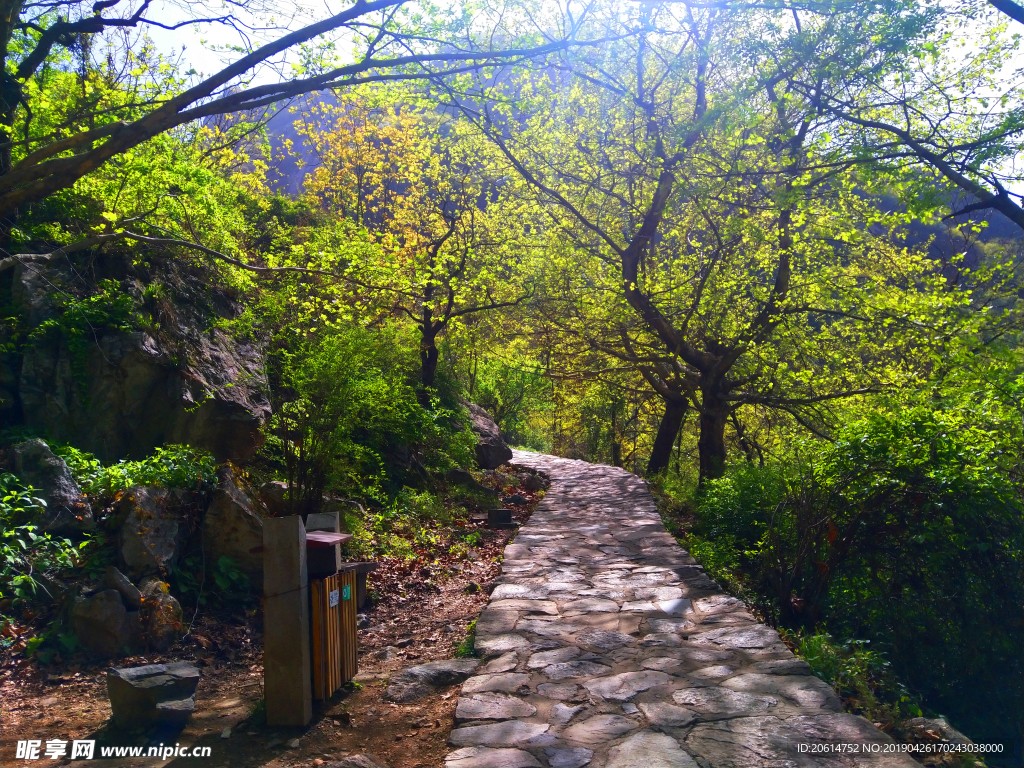 美丽的山路风景