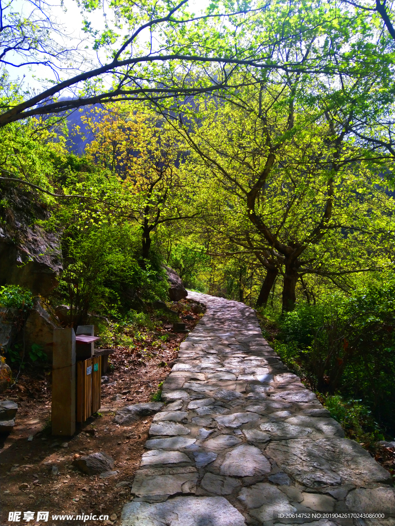 美丽的山路风景