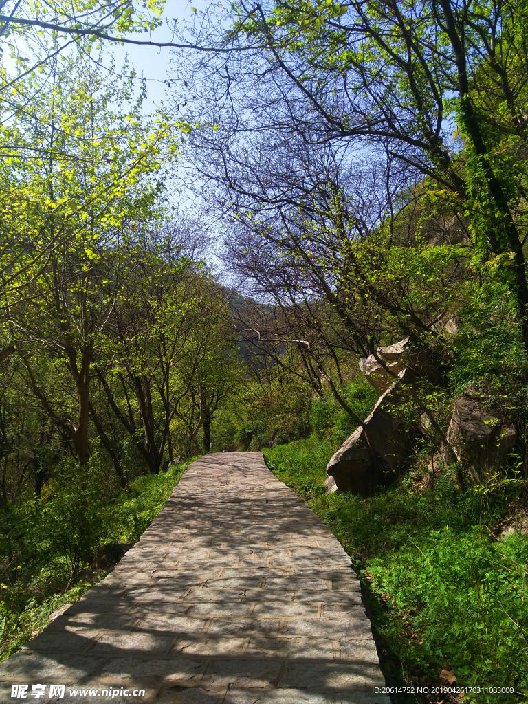 美丽的山路风景