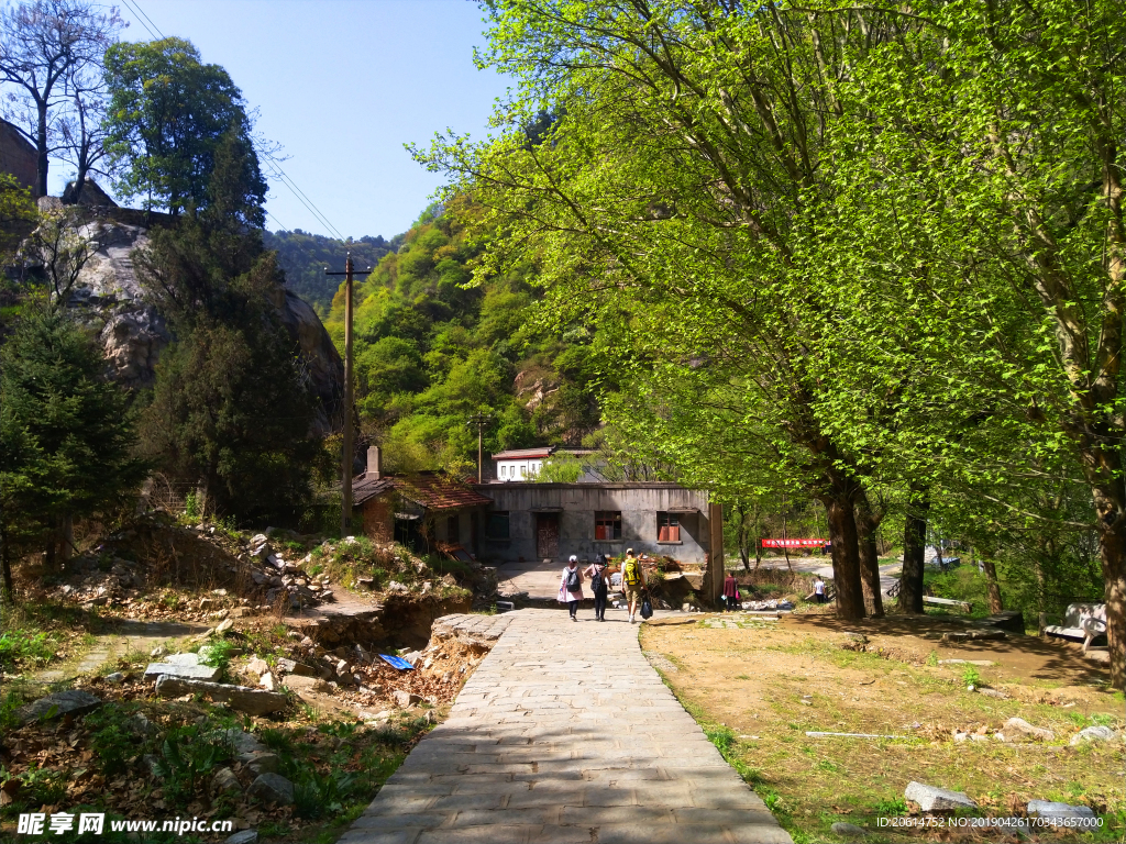 美丽的公园风景
