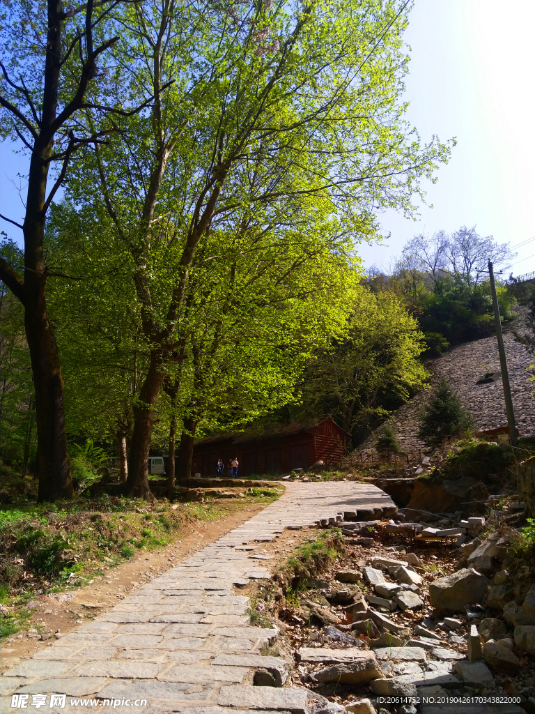 美丽的乡村风景