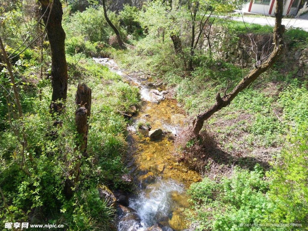 美丽的河道风景