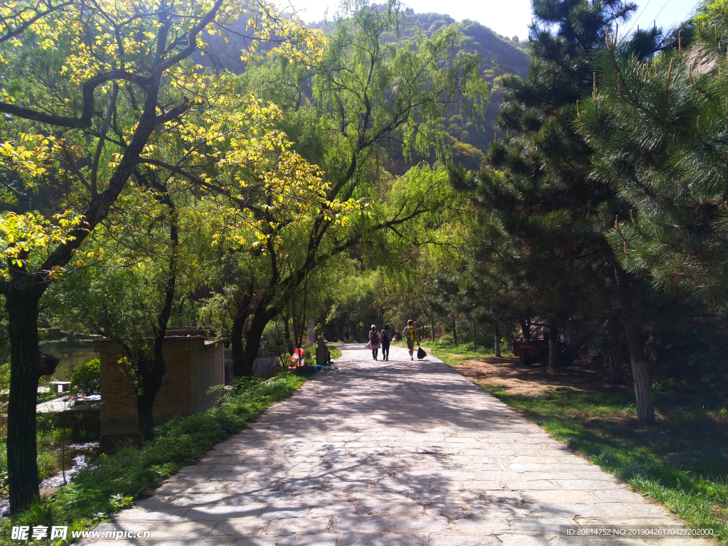 美丽的公园风景