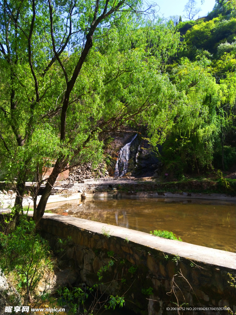 美丽的公园风景