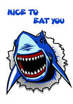 鲨鱼 卡通 海报 插画