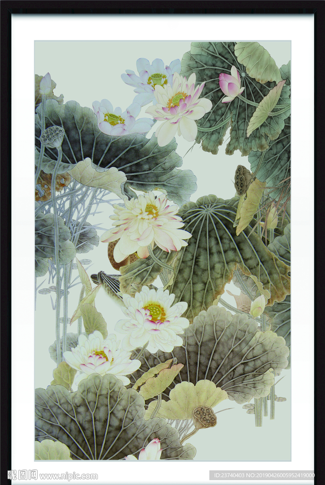 国画荷花