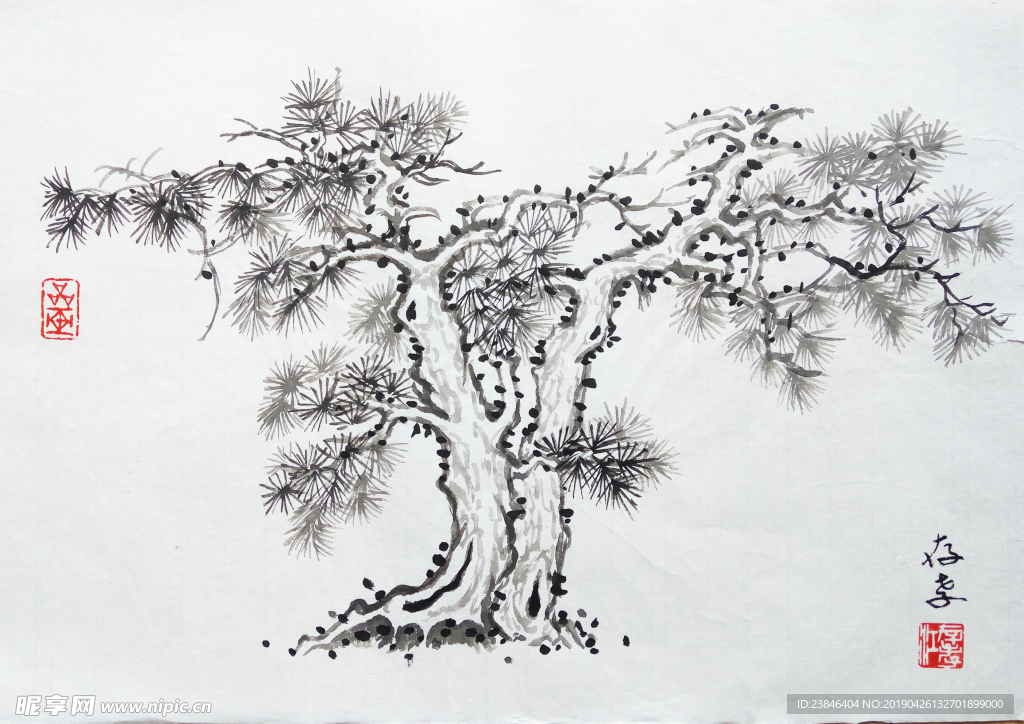 江存孝 松树册页五