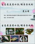清水鱼放钓卡片