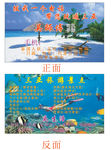司机导游名片