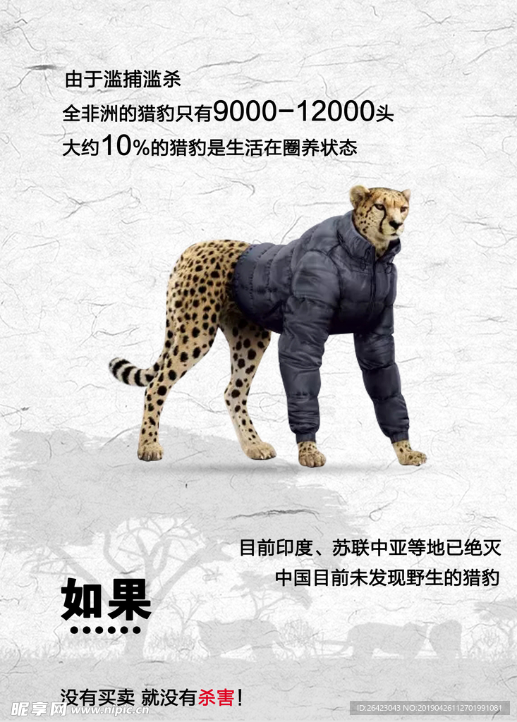 动物保护公益广告海报