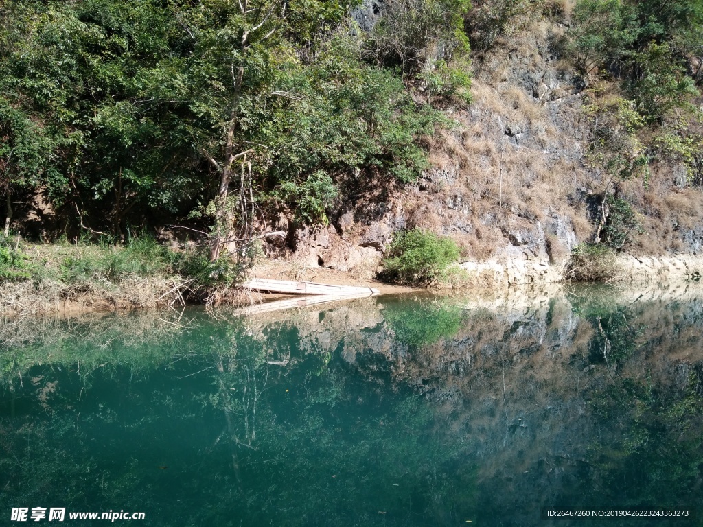 山水与树木
