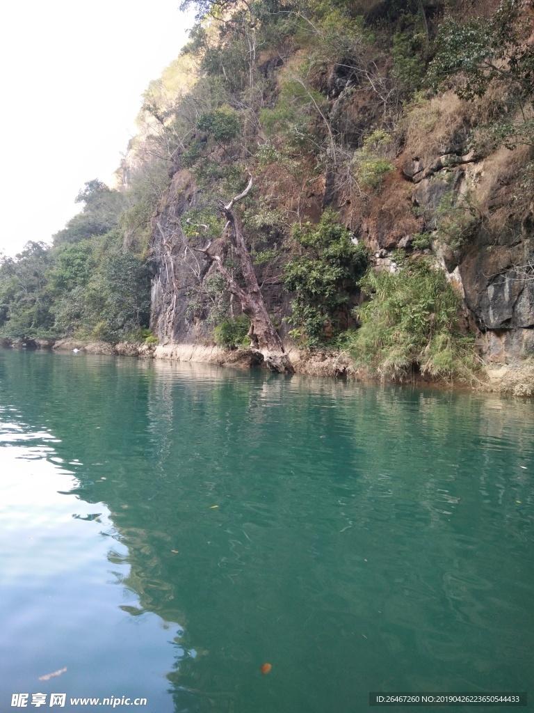 河谷枯木风景