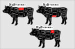 牛肉分布图