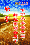 欣赏