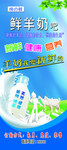 鲜羊奶展架