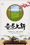 茶文化