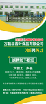 招聘9