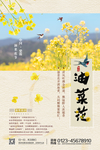 油菜花海报素材
