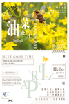 油菜花海报素材