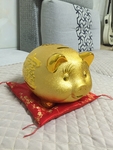 金猪