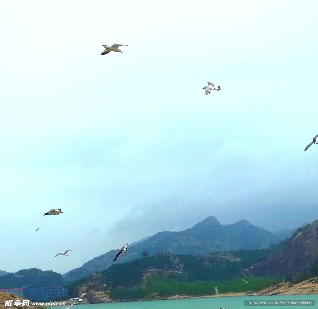 风景