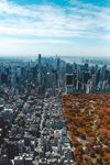 城市