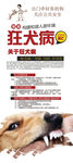 狂犬病预防海报分层设计