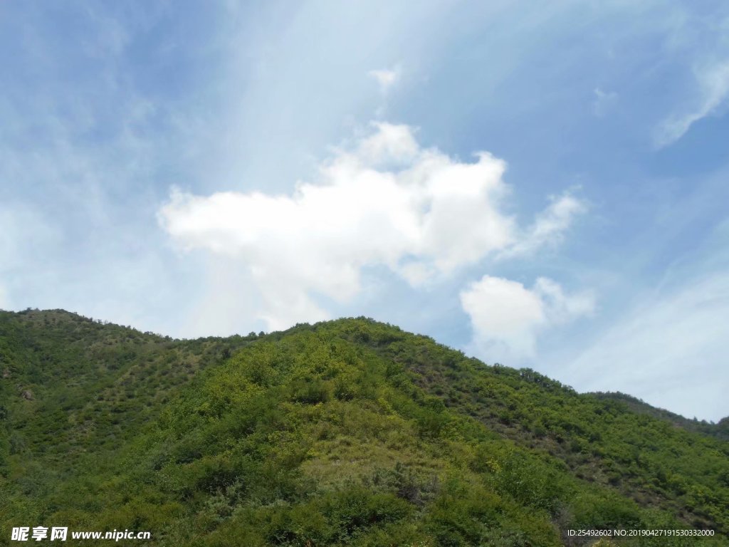 山