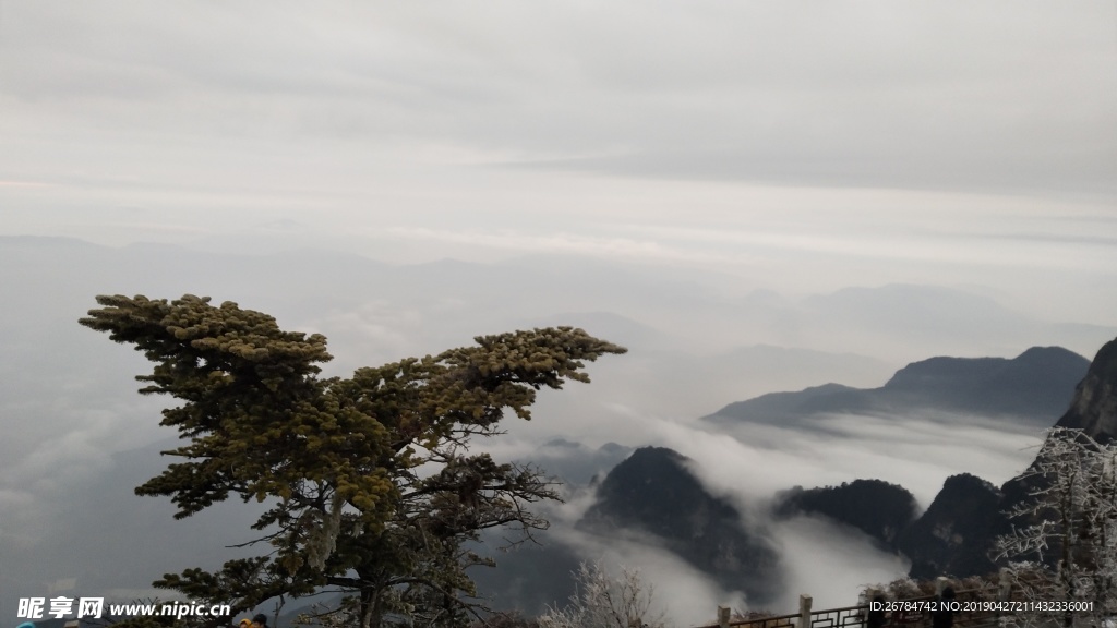 峨眉山 云海