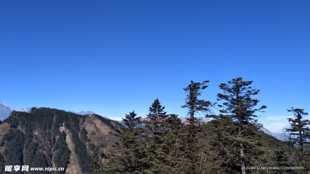 西岭雪山