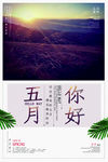 五月你好