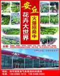 花卉大世界