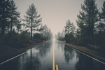 道路