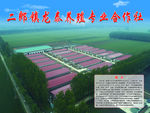 养殖专业合作社鸟瞰图