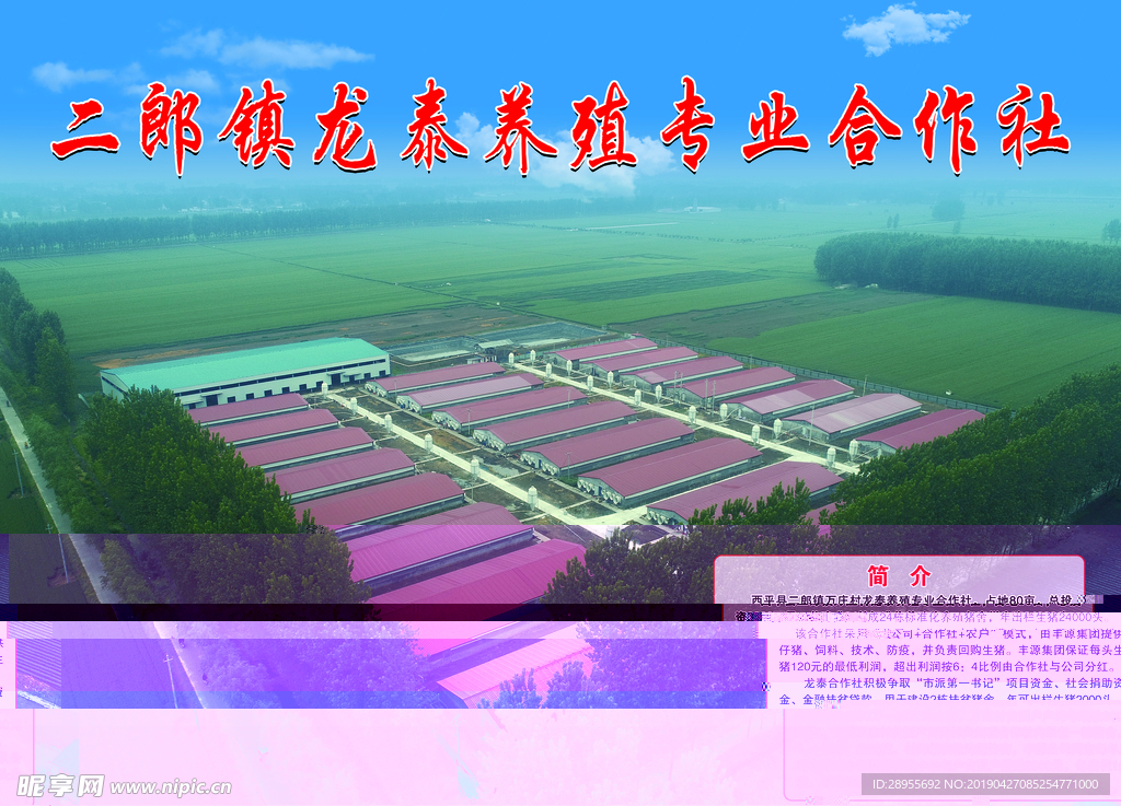 养殖专业合作社鸟瞰图