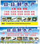 水产 冷库 海鲜 招牌 鱼