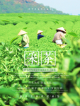 茶文化